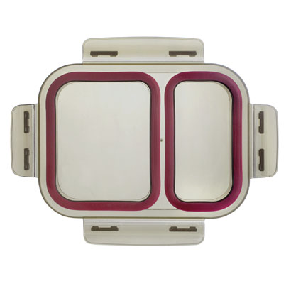 LACOR ECOINOX BOITE HERMETIQUE 2 COMPARTIMENTS1250ML RECT 20.5X15.5XH7.5CM COUVERCLE PP (copie)