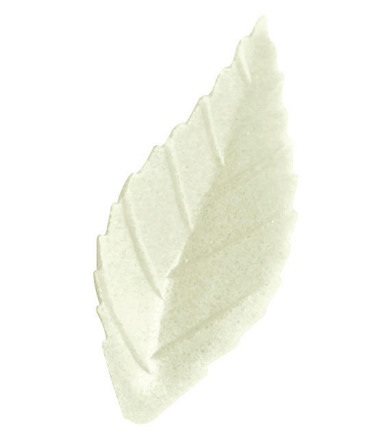 FRN02 WHITE ROSE LEAVES WAFER 38MM 500 PCES