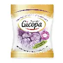GICOPA BONBONS VIOLETTES DISPLAY 24X100GR (copie)