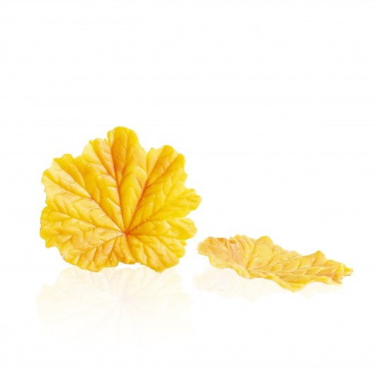 1012288 FEUILLE AUTOMNE EN CHOCOLAT 24 PCES ***S/CD***