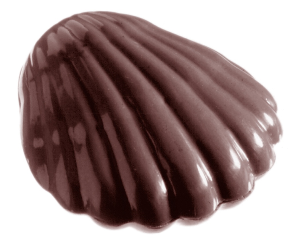 OYSTER CHOCOLATE MOLD CW1120 3X6 -- 7GR