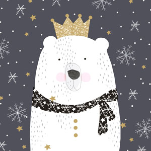 DUNI SERVETTEN KING IJSBEER 33X33CM 20ST