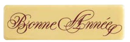 060462 PCB RECTANGLES CB BONNE ANNÉE 7X2 CM 55PCES***S/CD***