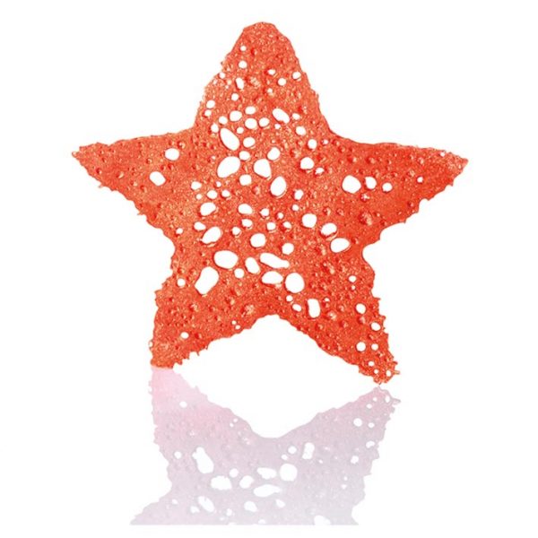 070400 PCB OPALINE STARS BRONZE 2 DESIGNS 32 PIECES ***S/CD***