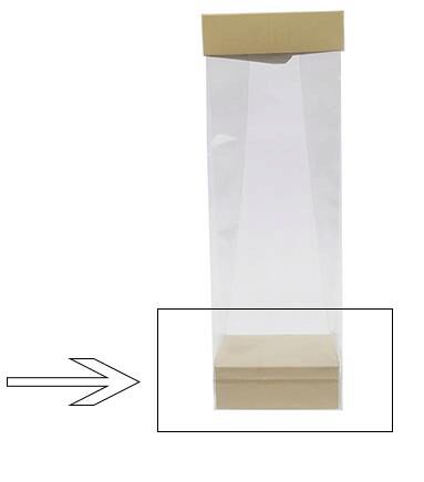 SOCLE N°8 SEASHELL POUR FOND SACHET 8X5X3CM 100PCS