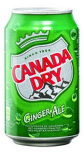 CANADA DRY BEVERAGE FAT CAN 24 X 33CL