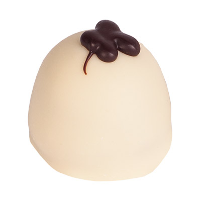 BRUYERRE MANON WITTE CHOCOLADE PRALINE 0,8KG