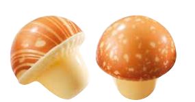 060250 PCB CHAMPIGNONS CB CARAMEL 3 DESIGNS Ø 3 CM 88STUKS ***S/CD***