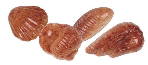 BRUYERRE ZEEVRUCHTEN PRALINE BULK WIT 2KG