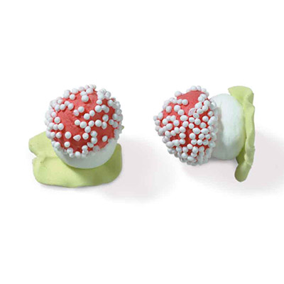 1051320 SUGAR MUSHROOMS 2.7CM 144PCS