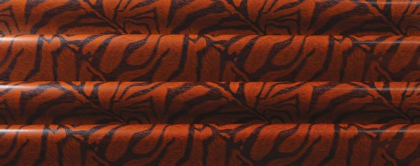 061329 PCB BEDRUKTE VELLEN ZEBRA 40X25 CM 17 STUKS ***S/CD***