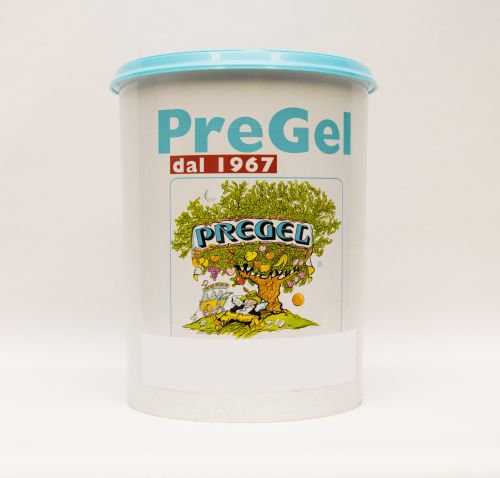 PREGEL PANNACREMA AROMA GECONCENTREERD KOKOSNOOT 2X5KG = DOOSJE
