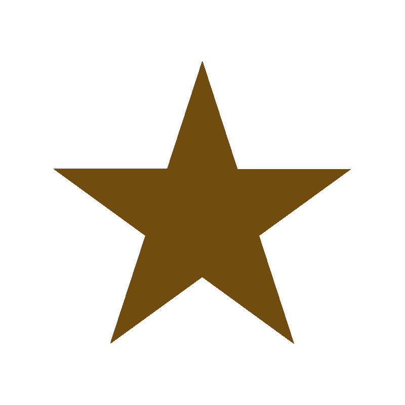 2092700 GROTE STER 60STUKS ***S/CDE***