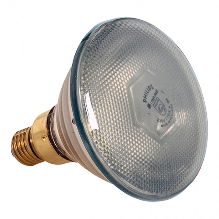 175W WITTE ENKELE LAMP VOOR LAMPENKAP