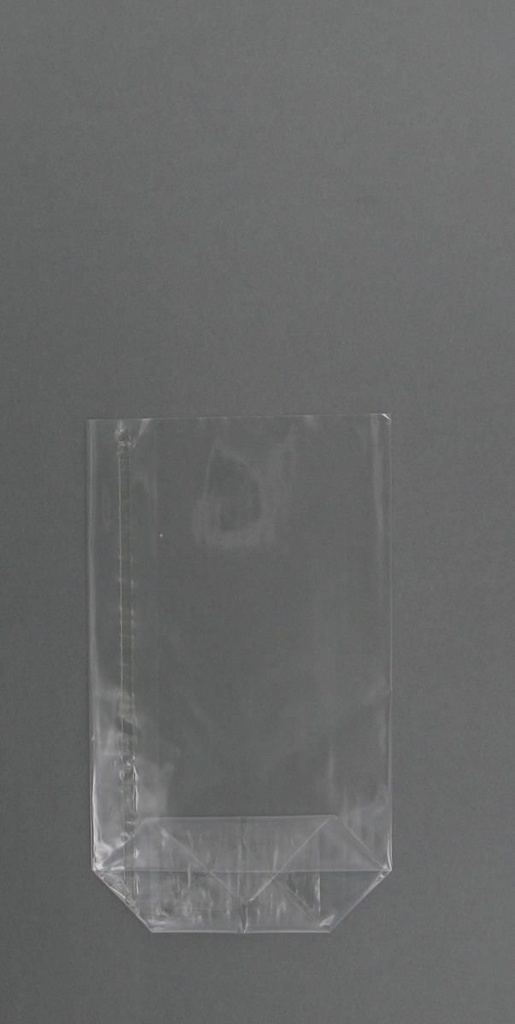 NEUTRAL CELLO BAG 115 X 190 MM FOSTPLUS INCLUDED 0.0502494€ 10x100 PCES