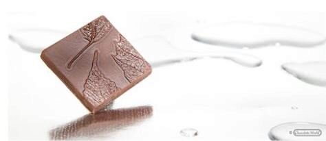 CHOCOLADEVORM CACAOBLAD CW1669275X135MM - 2X5 -- 13GR