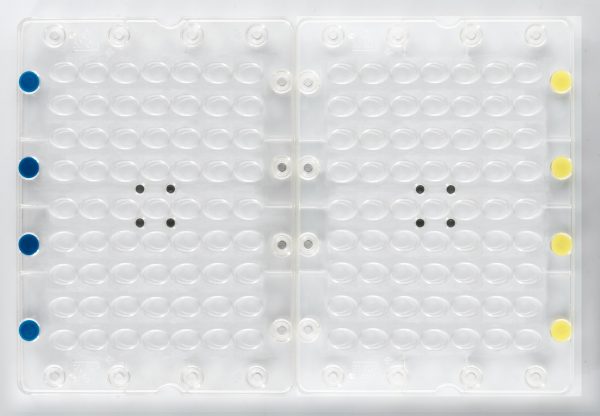 009964 PCB MAGNETIC MOLD FOR ASSEMBLING OUMADELEINE EGGS 63 PRINTS 1PCE ***S/CD***