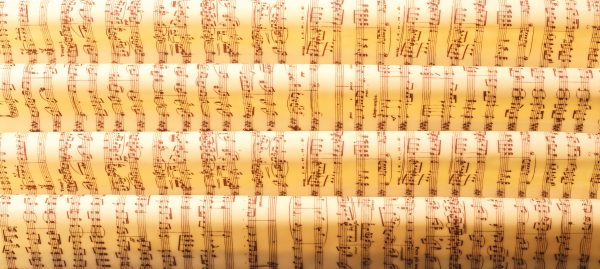 070200 PCB FEUILLES IMPRIMÉES NOTES DE MUSIQUE 40X25 CM 17PCES ***S/CD***