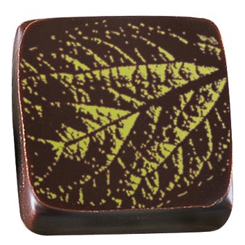 070420 PCB-BEDRUKT VELLEN GRAVEERVEL 6 ONTWERPEN 4X4 CM 1500STUKS ***S/CD***