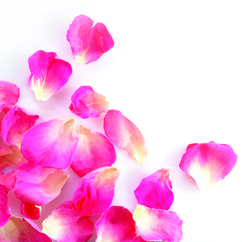 088209 PCB SMALL FREEZE-DRIED ROSE PETALS BRIGHT PINK 2GR ***ON/ORDER***