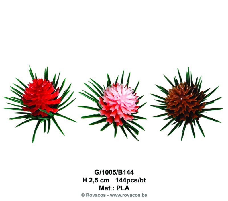 POMME DE PIN COLORIS ASS144 PCES