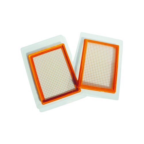 061231 PCB BLISTERS ARDOISES ECOLIER À PERSONNALISER 16X12 CM 10PCES ***S/CD***