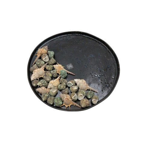 LE COQ PHOBOS BLACK BLUE DOTS PLATE 31XH2.5 CM STRAIGHT EDGES STONEWARE - LPHO019NB005310