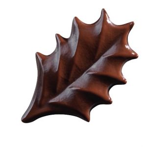 070353 PCB GROTE HULSTBLADEREN CN 5.1X3.45 CM 100ST ***S/CD***