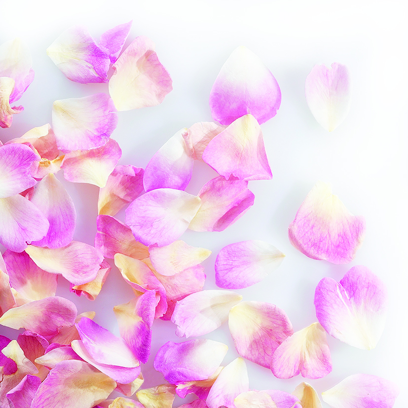 088207 PCB MINI GEVRIESDROOGDE ROZENBLAADJES LICHTROZE 2GR ***OP BESTELLING***