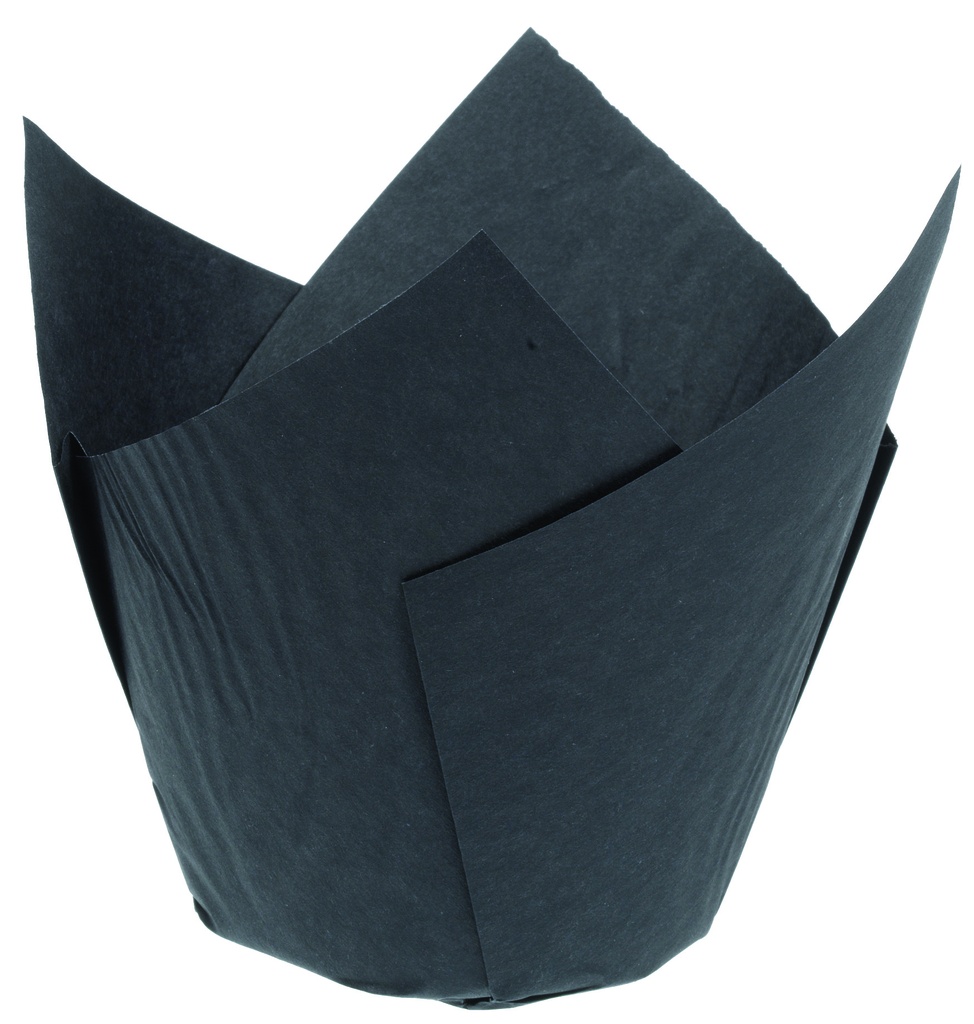 ZWARTE TULPENDOZEN D50X70-200P