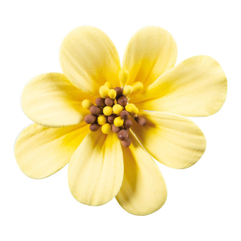 1066097 YELLOW FLEUR DE LYS GUMMY 5CM 36 PCES ***ON ORDER***