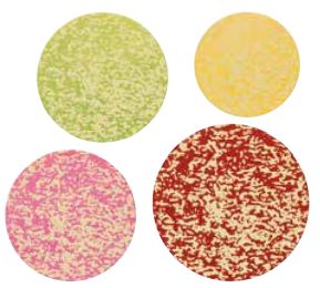 061285 PCB ROUND CB SPECKLED 5 DESIGNS 360PCS ***S/CD***