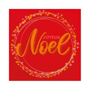 070476 PCB VIERKANTEN CBC STERREN GARLANDE 4 CM 120 STUKS ***S/CD***