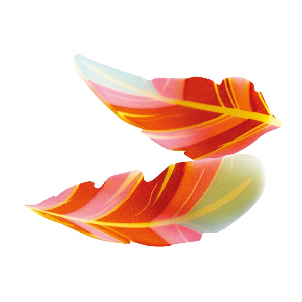 061041 PCB PETITES PLUMES COURBÉES CB 4X1,9 CM 160PCES 