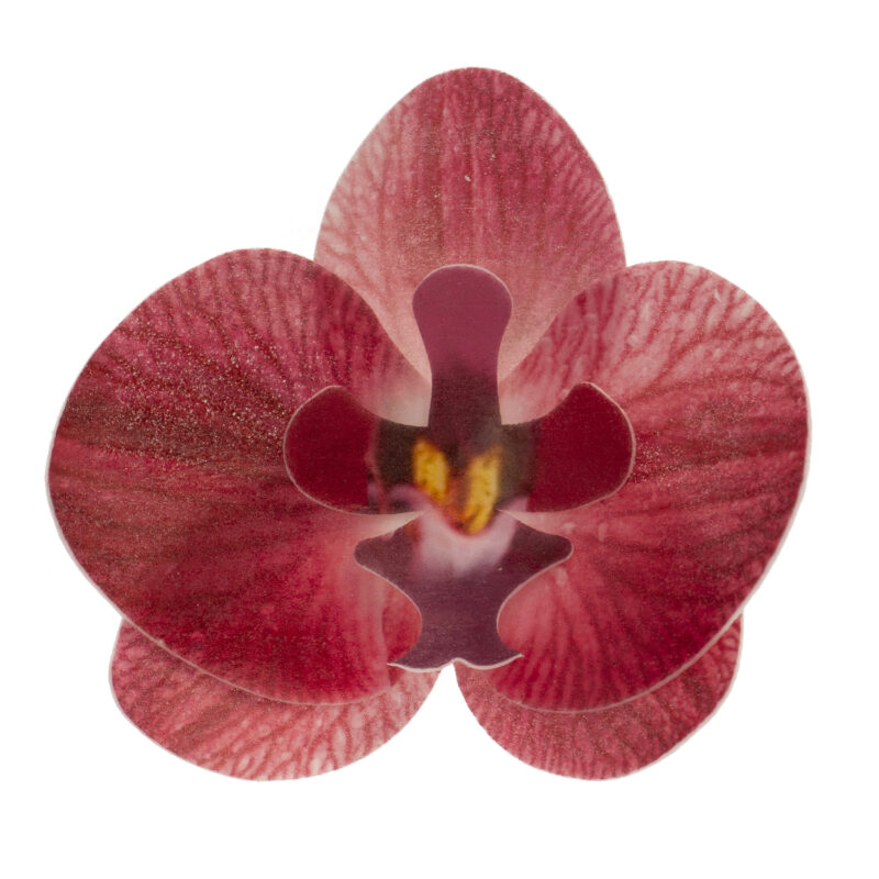 ORCHIDEE BORDEAUX 75X85MM AZYME 10 PCES
