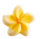 061313 PCB TIARE FLOWERS CB 2.5X2.5 CM 192PCS ***S/CD***