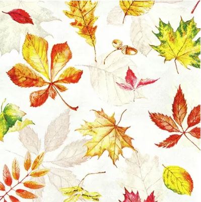 HOME FASHION NAPKIN 33X33CM DEAD LEAVES PACK OF 20PCS