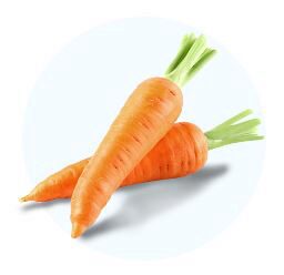 ❄️GELPASS CAROTTES BATONNETS 6/6/40 IQF 2,5KG SURGELE