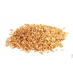 SESAMZAADJES GOUDKLEURIGE 1KG