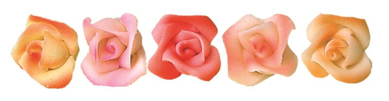 MARZIPAN ROSE AERO 5 PETALS 5 PCS