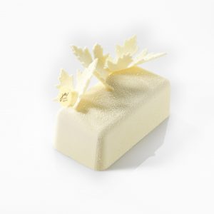 074238 PCB MOULES ENTREMETS LINGOT 16CM PR 30P 16X8 CM H.5,5 CM AVEC JAMBAGE 30PCES ***S/CD***