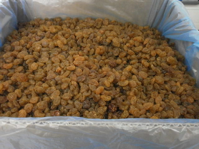 RAISINS AFRIQUE DU SUD ORANGE RIVERS 12,5KG