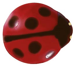 061303 PCB COCCINELLES CB 2,1X1,9 CM 170PCES ***S/CD***