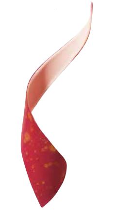 061291 PCB SPIRALES CB PULVÉRISÉES ROUGE 176PCES ***S/CD***