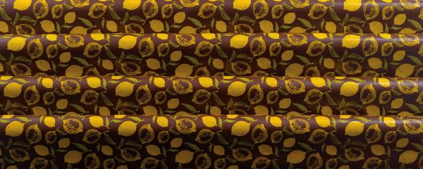  060848 PCB-BEDRUKT VEL CITROEN 40X25 CM 17 STUKS ***S/CD***