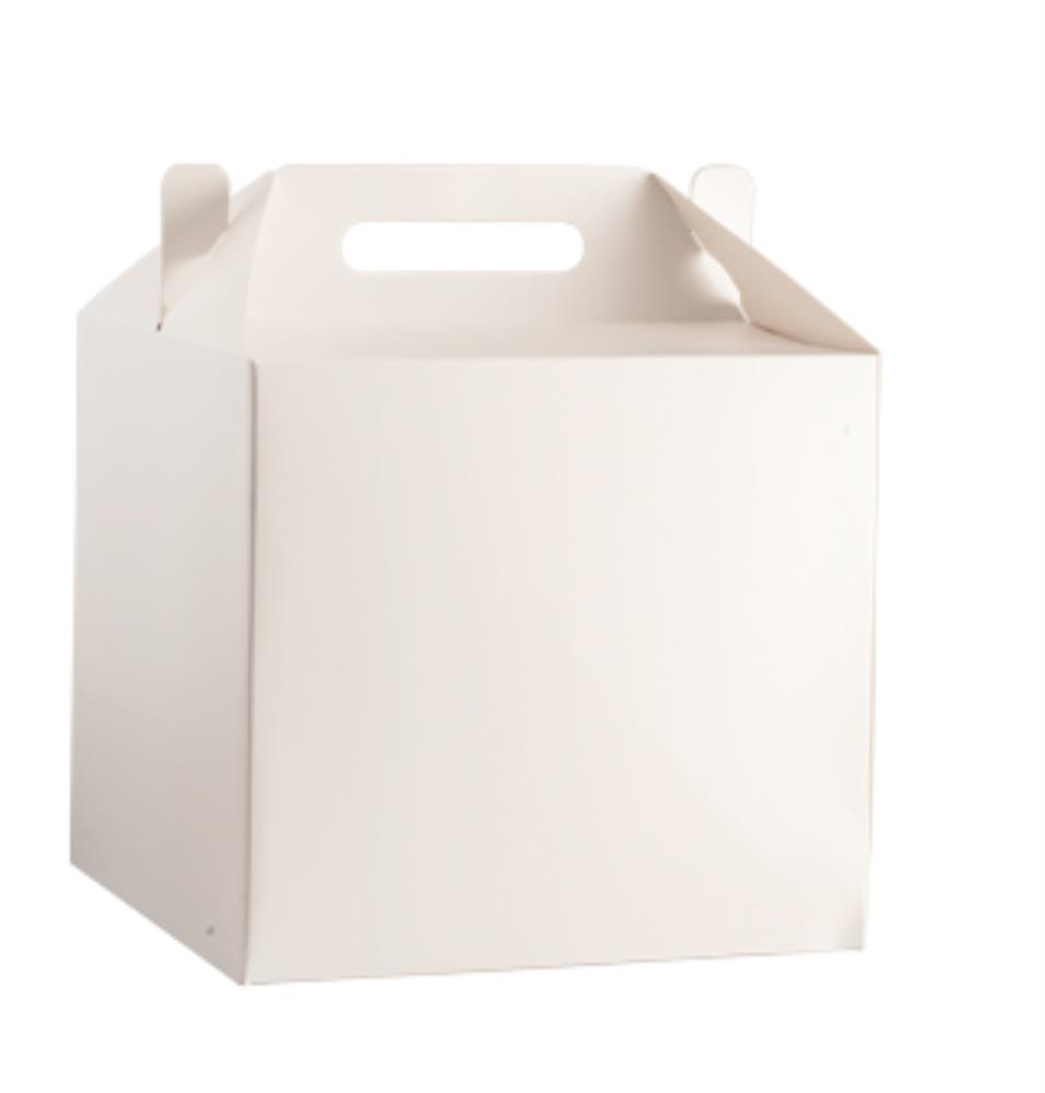 WHITE GIFT BOX 28X28XHT26CM WITH HANDLE