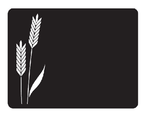 SET 20 LEISTEEN 60X90MM EP1MM PRINTEN EPI --