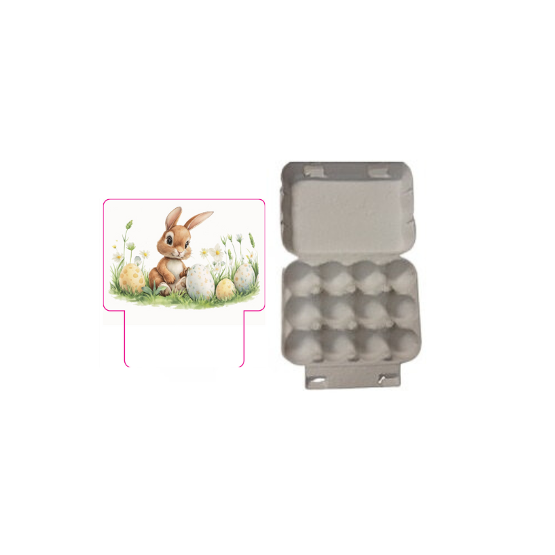 BOITE "HAPPY EASTER" POUR 12 OEUFS+STICKER 12X9,5CM H4CM 12PCS
