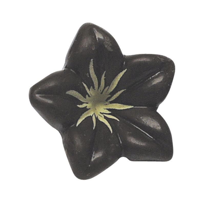 1054014 FLEUR NOIRE 76PCES ***S/CDE***