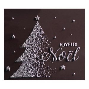 065051 PCB RECHTHOEKEN CN MET RELIËF  JOYEUX NOËL 5,1X4,5 CM 48ST ***s/cd***